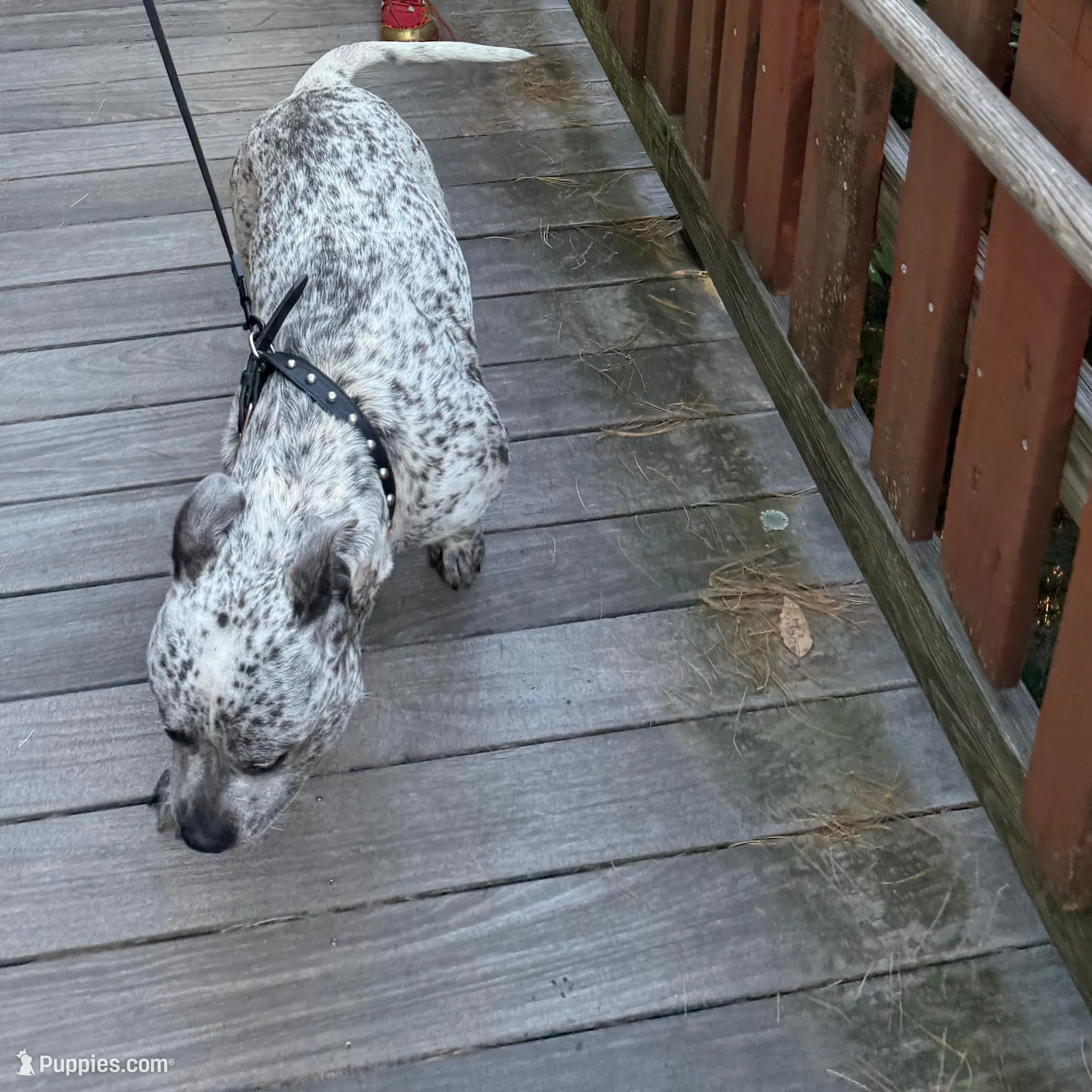 processed/e04e61fe-5722-470c-8713-6ecbae98eef9/listing/e2721e65-ef31-4d53-aa1e-9a41e33f67dc/14892d62-4e80-4c6f-b868-3217f61ee174