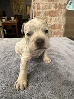 processed/e04e61fe-5722-470c-8713-6ecbae98eef9/listing/e2721e65-ef31-4d53-aa1e-9a41e33f67dc/3fa88188-aaec-4d21-ac68-86866bdb5ec0