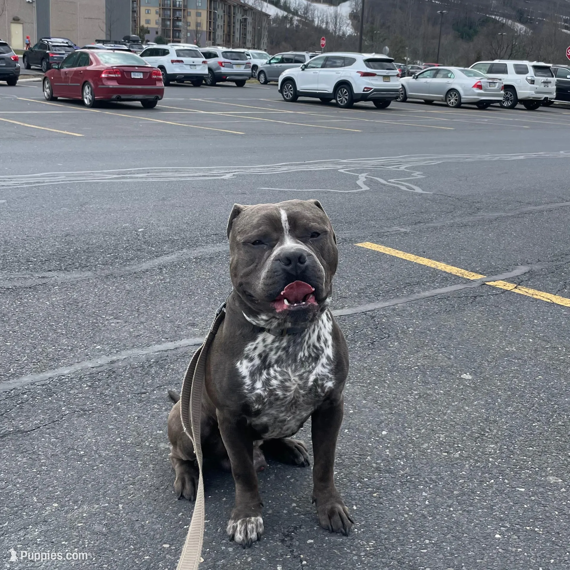 processed/e04e61fe-5722-470c-8713-6ecbae98eef9/listing/e2721e65-ef31-4d53-aa1e-9a41e33f67dc/9be153f6-c1c0-43f3-a23e-ef35da3df451