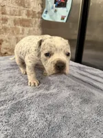 processed/e04e61fe-5722-470c-8713-6ecbae98eef9/listing/e2721e65-ef31-4d53-aa1e-9a41e33f67dc/a3afa396-d0b3-46c1-949b-ec76becc5b55