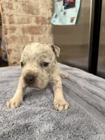 processed/e04e61fe-5722-470c-8713-6ecbae98eef9/listing/e2721e65-ef31-4d53-aa1e-9a41e33f67dc/d093cc61-73c3-4091-a859-71cd4f7ed84f