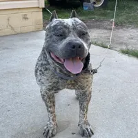 processed/e04e61fe-5722-470c-8713-6ecbae98eef9/listing/e2721e65-ef31-4d53-aa1e-9a41e33f67dc/dc8deaa2-5071-4a9b-9595-2fdc2d45f34b