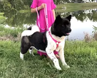 processed/e0555d2b-a919-4f7f-823e-24b760ab7223/listing/0489a840-3bad-4e67-aff4-06e27481d85f/02c4364c-e141-4673-b698-33230cb6cfc2