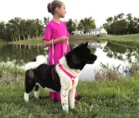 processed/e0555d2b-a919-4f7f-823e-24b760ab7223/listing/0489a840-3bad-4e67-aff4-06e27481d85f/51c7649e-4b33-48e0-b909-fa92524644c7