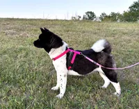 processed/e0555d2b-a919-4f7f-823e-24b760ab7223/listing/0489a840-3bad-4e67-aff4-06e27481d85f/f47ef63b-9dd5-4a5d-a433-0a9043676aa3