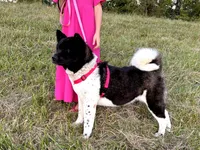 processed/e0555d2b-a919-4f7f-823e-24b760ab7223/listing/0489a840-3bad-4e67-aff4-06e27481d85f/ff7c1df0-c4e3-44c9-8527-e5932c3fd876