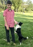 Georgie, a male Chihuahua for sale in Linneus, MO – Photo 4 of 10