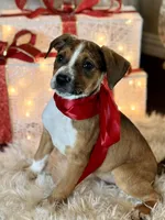 processed/e0673da6-4198-415b-83a6-636e7b553754/listing/5155a053-e6c1-4c1b-82e5-f212fc762817/3606c972-6db8-484c-9795-4b8a6bb8ed33