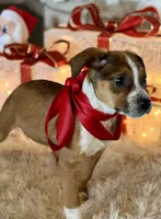 processed/e0673da6-4198-415b-83a6-636e7b553754/listing/5155a053-e6c1-4c1b-82e5-f212fc762817/b2e57e9b-5ade-410e-a8b6-fc1c08c34275