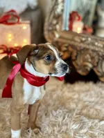 processed/e0673da6-4198-415b-83a6-636e7b553754/listing/5155a053-e6c1-4c1b-82e5-f212fc762817/e3aa7c02-05c1-47cd-b2a7-a61fb1ccc854