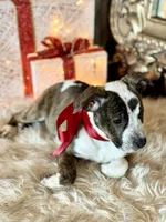 processed/e0673da6-4198-415b-83a6-636e7b553754/listing/71b50c78-6ee2-46ad-aafe-2aa72d7f5a85/72983b34-6c88-47ea-8d15-9b31f6932269