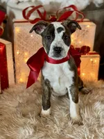 processed/e0673da6-4198-415b-83a6-636e7b553754/listing/71b50c78-6ee2-46ad-aafe-2aa72d7f5a85/d36cfc04-d4fe-48c0-ae39-47f0a9b0be47