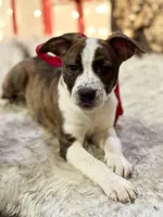 processed/e0673da6-4198-415b-83a6-636e7b553754/listing/94dcacad-aecd-420e-90d9-b28521d8fa25/6cc38db8-6126-4c69-95f3-e8ec108f58d7