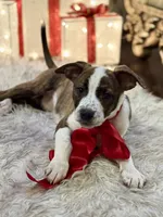 processed/e0673da6-4198-415b-83a6-636e7b553754/listing/94dcacad-aecd-420e-90d9-b28521d8fa25/8a2b57d3-11a2-45fe-afa1-029b0531e41b