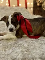 processed/e0673da6-4198-415b-83a6-636e7b553754/listing/94dcacad-aecd-420e-90d9-b28521d8fa25/8e347057-7954-4337-9dd9-65bc0964811f