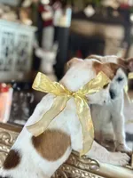 processed/e0673da6-4198-415b-83a6-636e7b553754/listing/bbec8e15-b2dc-439d-b20d-c467bec7bb30/55c6b5a1-b210-40cd-8121-b5f0aa50fc36