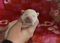 processed/e06be30e-8bb9-4704-ac38-24ebc905107f/listing/233c66bd-640f-41d7-8f01-2901ca53b05e/72501a71-e972-4de0-8f53-be1462d0524a