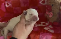 processed/e06be30e-8bb9-4704-ac38-24ebc905107f/listing/233c66bd-640f-41d7-8f01-2901ca53b05e/8dc28b00-93c3-442d-930c-8b8736efdc6b