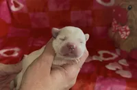 processed/e06be30e-8bb9-4704-ac38-24ebc905107f/listing/233c66bd-640f-41d7-8f01-2901ca53b05e/ca5f061c-5d01-4edb-9497-ecd420e0d1de