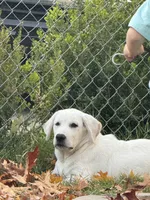 processed/e06be30e-8bb9-4704-ac38-24ebc905107f/listing/821ed89a-0421-4ef6-bb5c-16de4adbf145/d19a939e-cffb-4c40-948f-5e96faaff85c