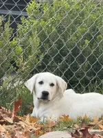 processed/e06be30e-8bb9-4704-ac38-24ebc905107f/listing/821ed89a-0421-4ef6-bb5c-16de4adbf145/fb6529e7-859a-4cc0-9583-8983795e93b6