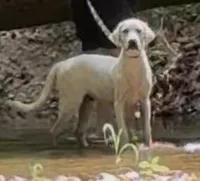 processed/e06be30e-8bb9-4704-ac38-24ebc905107f/listing/8d475811-905a-4d07-a5c5-feab39429d7a/06132e17-2191-4826-8e12-89a74308ae51