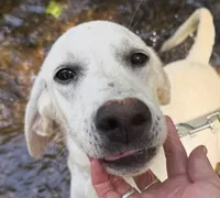 processed/e06be30e-8bb9-4704-ac38-24ebc905107f/listing/8d475811-905a-4d07-a5c5-feab39429d7a/d8478660-75d7-4632-a091-a198e7c301d3