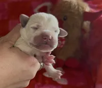 processed/e06be30e-8bb9-4704-ac38-24ebc905107f/listing/8f5f5d97-b0be-4184-8506-ee98667bf46e/4010a68a-6a13-484d-8dd5-18f20c3e6a44