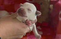 processed/e06be30e-8bb9-4704-ac38-24ebc905107f/listing/8f5f5d97-b0be-4184-8506-ee98667bf46e/d8909fd1-aef6-48ae-9f0f-9a9ead006624