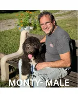 Monty, a male Sheepadoodle for sale in Tehachapi, CA – 5 of 10