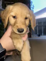 processed/e0794cf8-69f8-47f7-ab69-d0987ba280b5/listing/e63e00b3-e277-48ee-8a7b-1aafd720e3af/042d4096-3fc7-4590-8118-02b4f94fe844