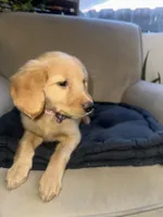 processed/e0794cf8-69f8-47f7-ab69-d0987ba280b5/listing/e63e00b3-e277-48ee-8a7b-1aafd720e3af/4a961516-abec-41c6-baba-fd41314dcb00