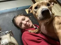 N/A, a male Labrador Retriever and Chihuahua for sale in Eva, AL – Photo 10 of 10