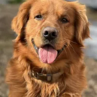 processed/e089dc81-b849-4b06-a501-0cec277c4f4b/facility/8dc8db77-fd6b-4a6e-9973-44ec4b1086fd