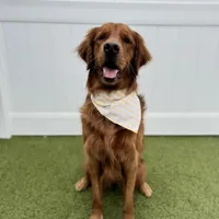 processed/e089dc81-b849-4b06-a501-0cec277c4f4b/facility/f074cb8d-1f5a-42a9-ae01-7946d8e52284