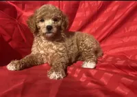 processed/e0a01094-23e6-41ac-98d4-ed181a9db7f3/facility/27305f2f-340c-4bfa-b519-6f5b2069b2e5