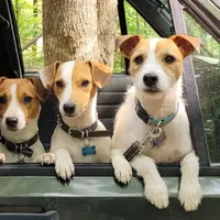 processed/e0a51ef3-832b-4eeb-b813-1f9ff0eb02f4/facility/072fa812-4d86-44be-9bff-cb706ba97174