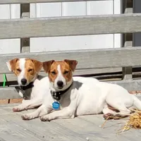 processed/e0a51ef3-832b-4eeb-b813-1f9ff0eb02f4/facility/29e377ea-abe7-4b14-bce9-8b83d2cbef08