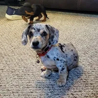 processed/e0a51ef3-832b-4eeb-b813-1f9ff0eb02f4/facility/2dece79c-a70d-44bb-be29-5c1c1050e366