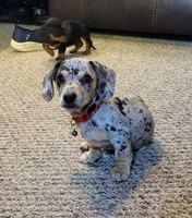 processed/e0a51ef3-832b-4eeb-b813-1f9ff0eb02f4/facility/2dece79c-a70d-44bb-be29-5c1c1050e366