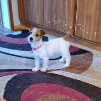 processed/e0a51ef3-832b-4eeb-b813-1f9ff0eb02f4/facility/405de184-a876-44b8-8844-a90432c15d5a