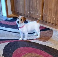 processed/e0a51ef3-832b-4eeb-b813-1f9ff0eb02f4/facility/405de184-a876-44b8-8844-a90432c15d5a