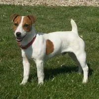 processed/e0a51ef3-832b-4eeb-b813-1f9ff0eb02f4/facility/4372ccf0-207f-4fef-ae63-df18022df403