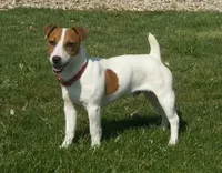 processed/e0a51ef3-832b-4eeb-b813-1f9ff0eb02f4/facility/4372ccf0-207f-4fef-ae63-df18022df403