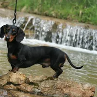 processed/e0a51ef3-832b-4eeb-b813-1f9ff0eb02f4/facility/491f5512-8330-40d7-8c52-4c0d64f64b82