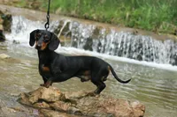 processed/e0a51ef3-832b-4eeb-b813-1f9ff0eb02f4/facility/491f5512-8330-40d7-8c52-4c0d64f64b82