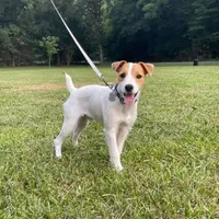 processed/e0a51ef3-832b-4eeb-b813-1f9ff0eb02f4/facility/9a9130ae-3dab-497d-ba99-64b587ca4318