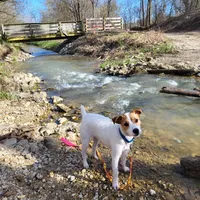 processed/e0a51ef3-832b-4eeb-b813-1f9ff0eb02f4/facility/b5b08426-a628-46a3-9f6f-d7ea4d830d7b