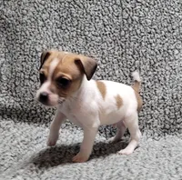 processed/e0a51ef3-832b-4eeb-b813-1f9ff0eb02f4/listing/777500a5-0555-4e23-ad88-4dfa83f22326/1c26296f-c2ca-4bcd-b224-f2a32ce94b77