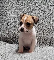 processed/e0a51ef3-832b-4eeb-b813-1f9ff0eb02f4/listing/777500a5-0555-4e23-ad88-4dfa83f22326/4fd430a8-589b-45ad-9278-5603d66fd6cb